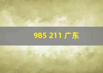 985 211 广东